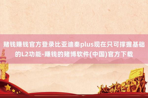 赌钱赚钱官方登录比亚迪秦plus现在只可撑握基础的L2功能-赚钱的赌博软件(中国)官方下载