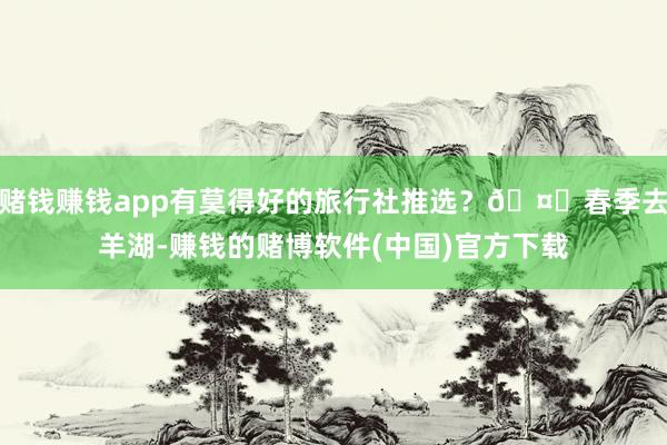 赌钱赚钱app有莫得好的旅行社推选？🤔春季去羊湖-赚钱的赌博软件(中国)官方下载