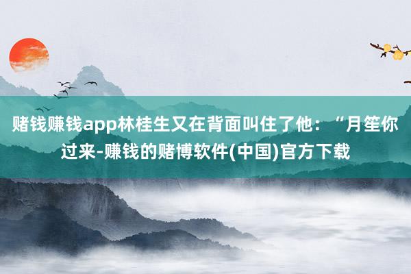 赌钱赚钱app林桂生又在背面叫住了他：“月笙你过来-赚钱的赌博软件(中国)官方下载