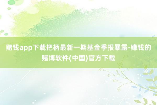 赌钱app下载把柄最新一期基金季报暴露-赚钱的赌博软件(中国)官方下载
