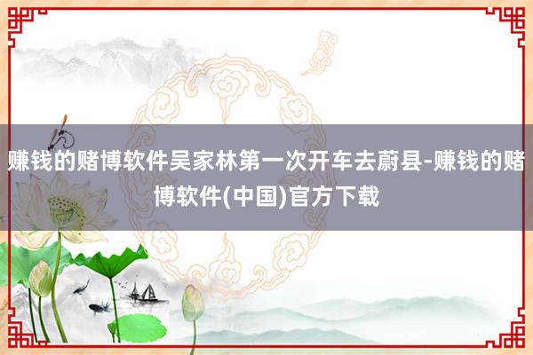 赚钱的赌博软件吴家林第一次开车去蔚县-赚钱的赌博软件(中国)官方下载