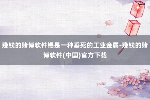 赚钱的赌博软件锡是一种垂死的工业金属-赚钱的赌博软件(中国)官方下载