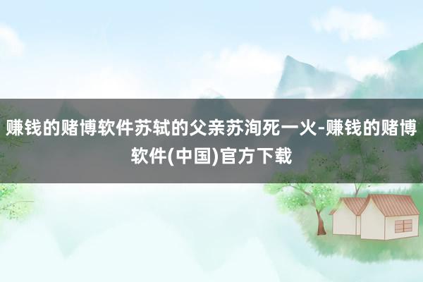 赚钱的赌博软件苏轼的父亲苏洵死一火-赚钱的赌博软件(中国)官方下载