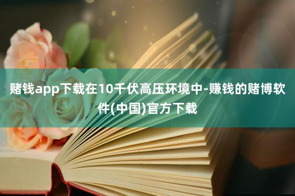 赌钱app下载在10千伏高压环境中-赚钱的赌博软件(中国)官方下载