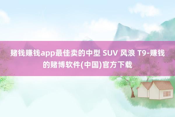 赌钱赚钱app最佳卖的中型 SUV 风浪 T9-赚钱的赌博软件(中国)官方下载