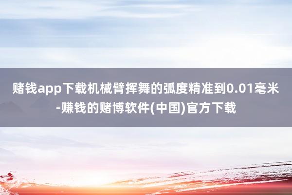 赌钱app下载机械臂挥舞的弧度精准到0.01毫米-赚钱的赌博软件(中国)官方下载