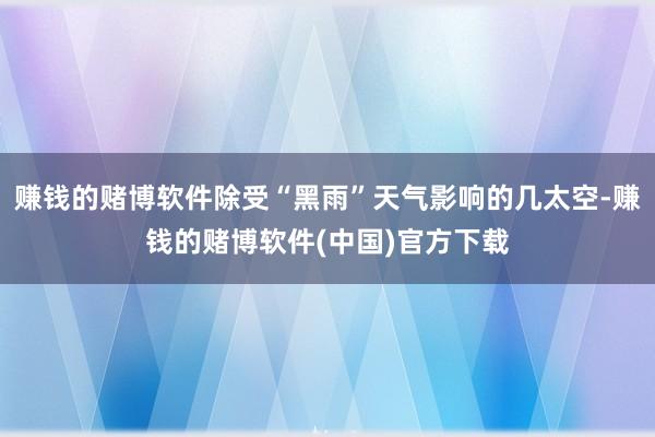 赚钱的赌博软件除受“黑雨”天气影响的几太空-赚钱的赌博软件(中国)官方下载
