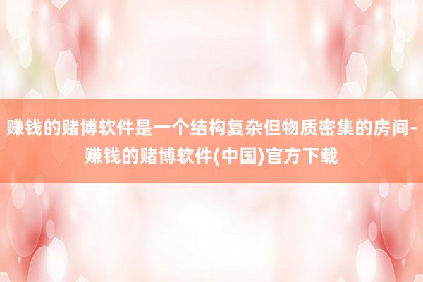 赚钱的赌博软件是一个结构复杂但物质密集的房间-赚钱的赌博软件(中国)官方下载