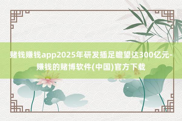 赌钱赚钱app2025年研发插足瞻望达300亿元-赚钱的赌博软件(中国)官方下载