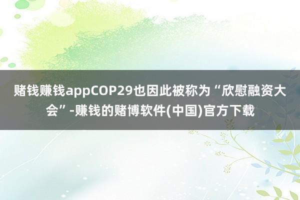 赌钱赚钱appCOP29也因此被称为“欣慰融资大会”-赚钱的赌博软件(中国)官方下载