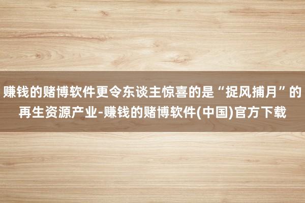 赚钱的赌博软件更令东谈主惊喜的是“捉风捕月”的再生资源产业-赚钱的赌博软件(中国)官方下载