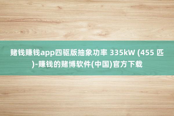 赌钱赚钱app四驱版抽象功率 335kW (455 匹)-赚钱的赌博软件(中国)官方下载