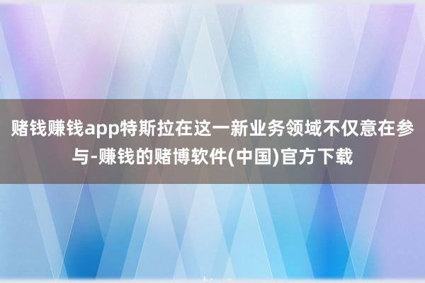 赌钱赚钱app特斯拉在这一新业务领域不仅意在参与-赚钱的赌博软件(中国)官方下载