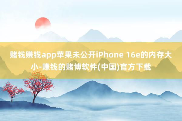 赌钱赚钱app苹果未公开iPhone 16e的内存大小-赚钱的赌博软件(中国)官方下载