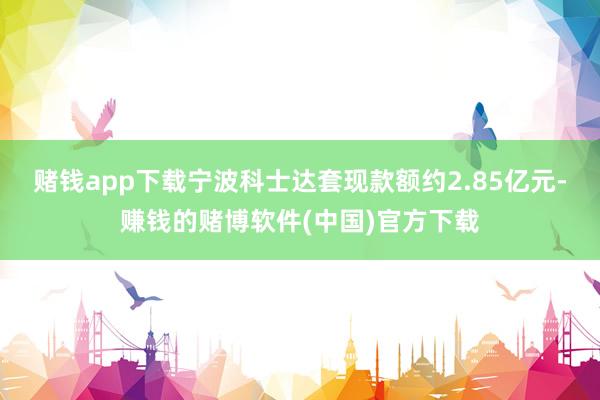 赌钱app下载宁波科士达套现款额约2.85亿元-赚钱的赌博软件(中国)官方下载