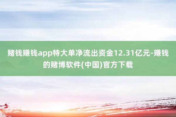 赌钱赚钱app特大单净流出资金12.31亿元-赚钱的赌博软件(中国)官方下载