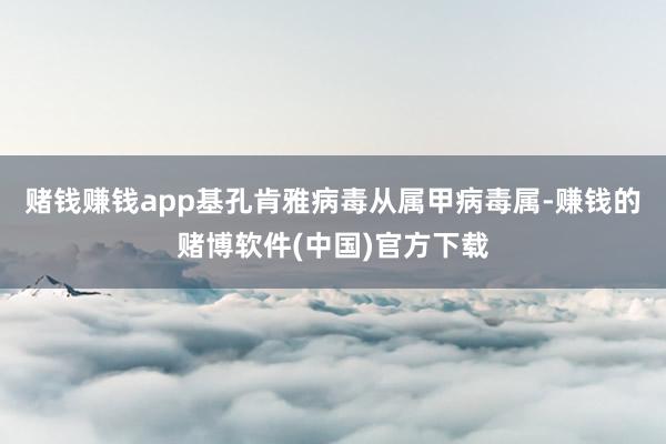 赌钱赚钱app基孔肯雅病毒从属甲病毒属-赚钱的赌博软件(中国)官方下载